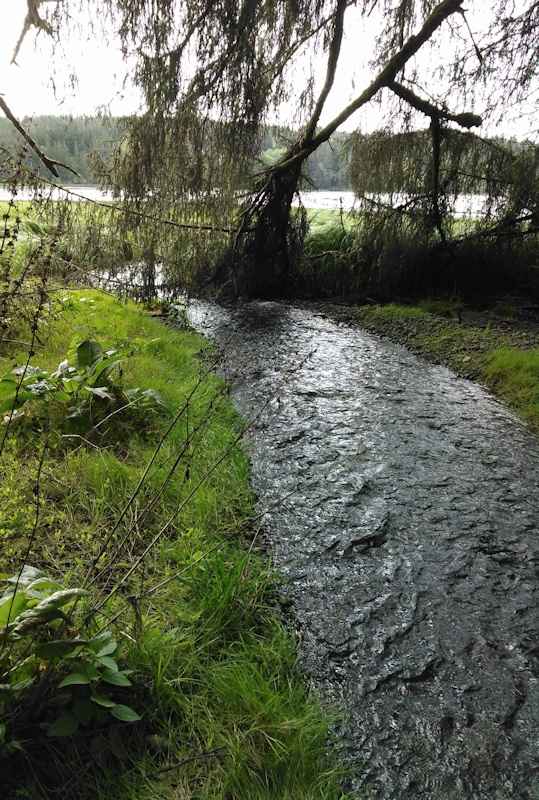 Puget Sound Tribe